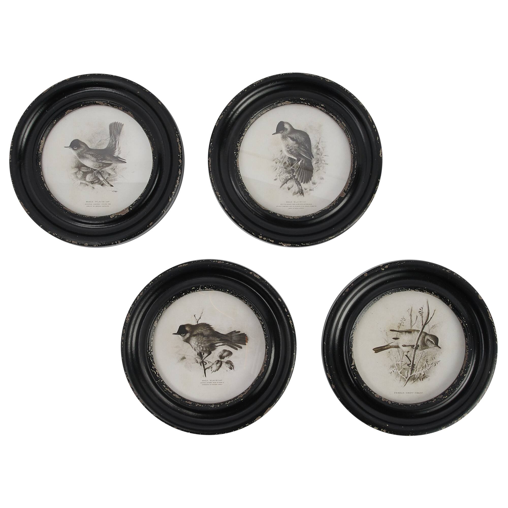 Hello Honey® Round Bird Print Wood Framed Set